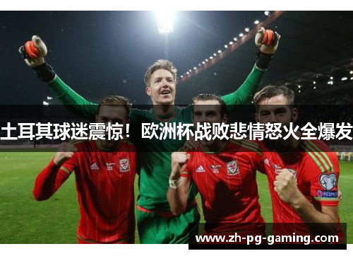 土耳其球迷震惊！欧洲杯战败悲情怒火全爆发